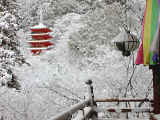 hase-snow1572.jpg (79832 バイト)