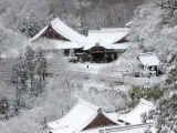hase-snow1574.jpg (82319 バイト)